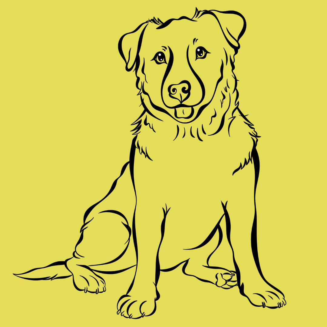 TAILored Lines Portrait