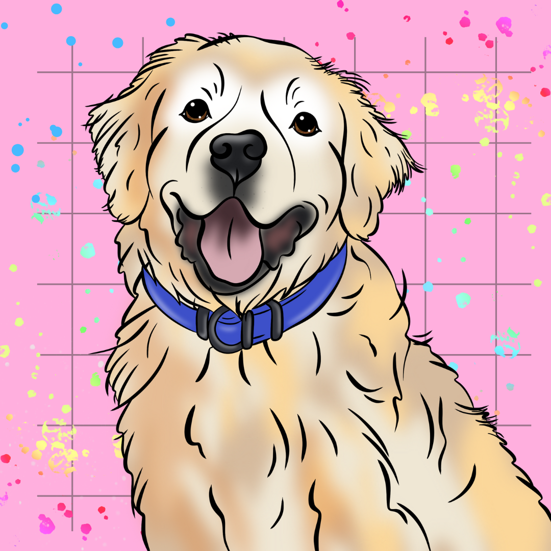 Color Me Loyal Pet Portrait