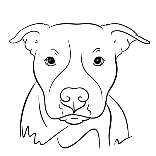 Pet Portrait - Line Sketches