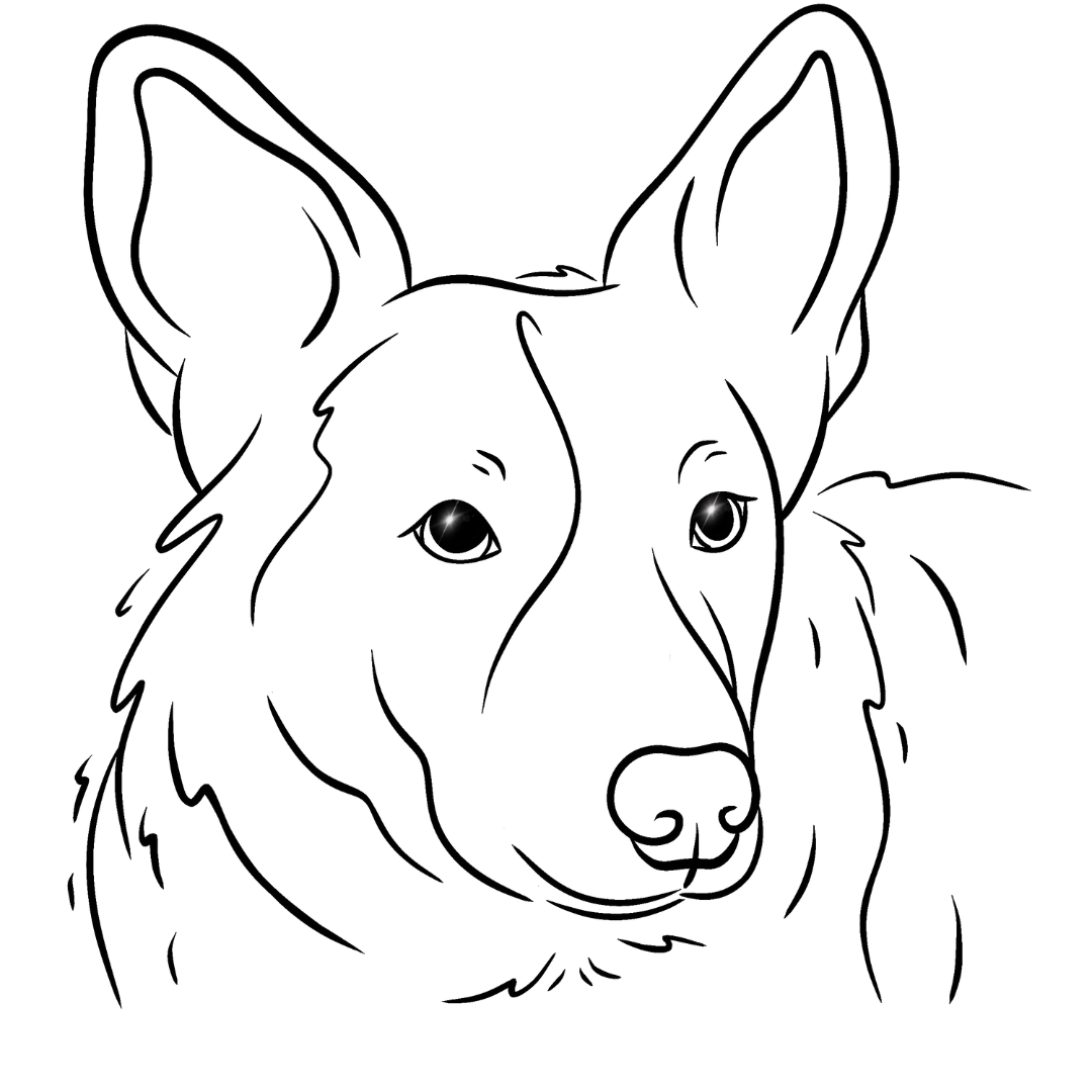 Pet Portrait - Line Sketches