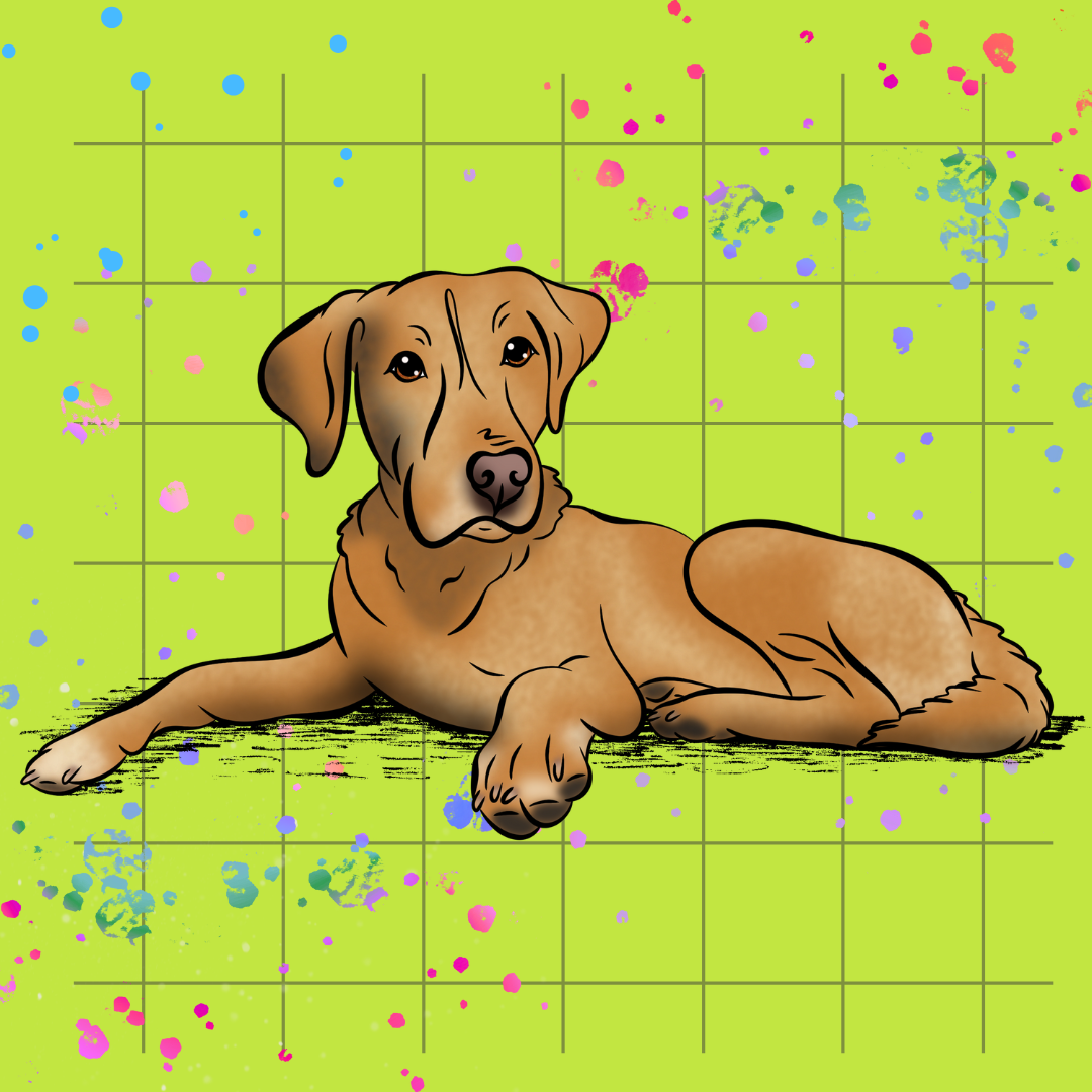 Head-to-Paw Hero Pet Portrait