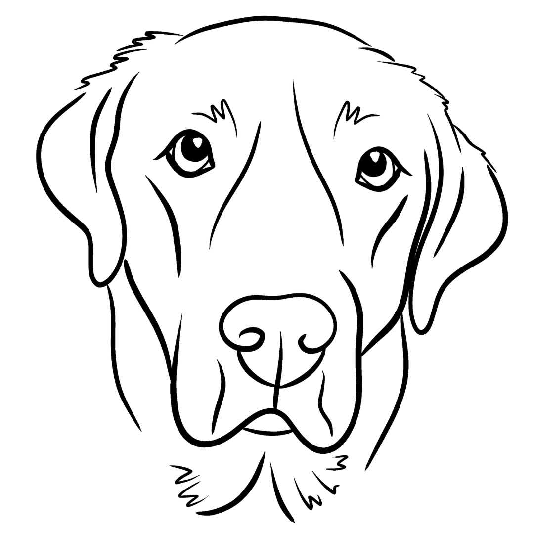 Pet Portrait - Line Sketches