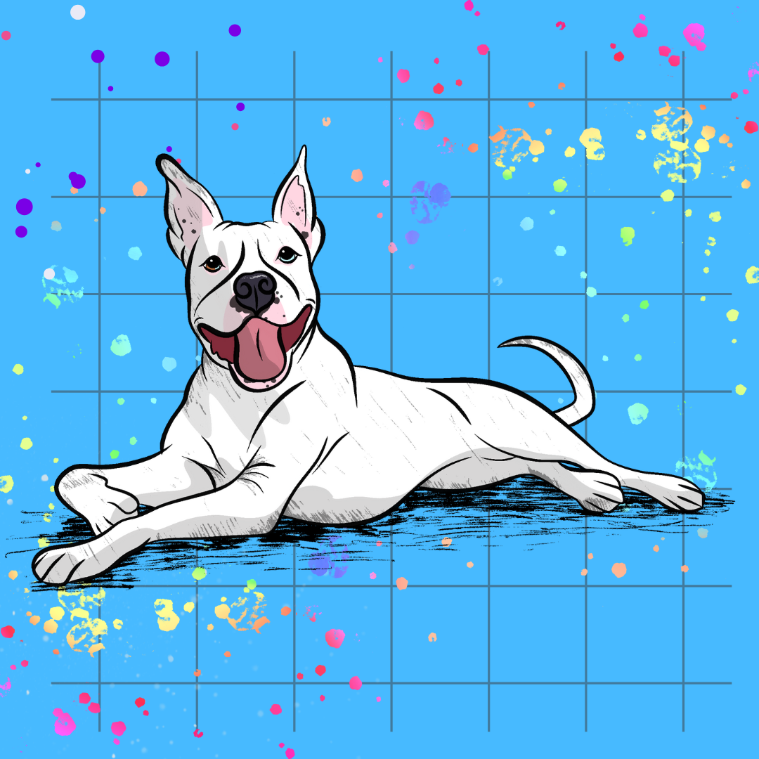 Head-to-Paw Hero Pet Portrait