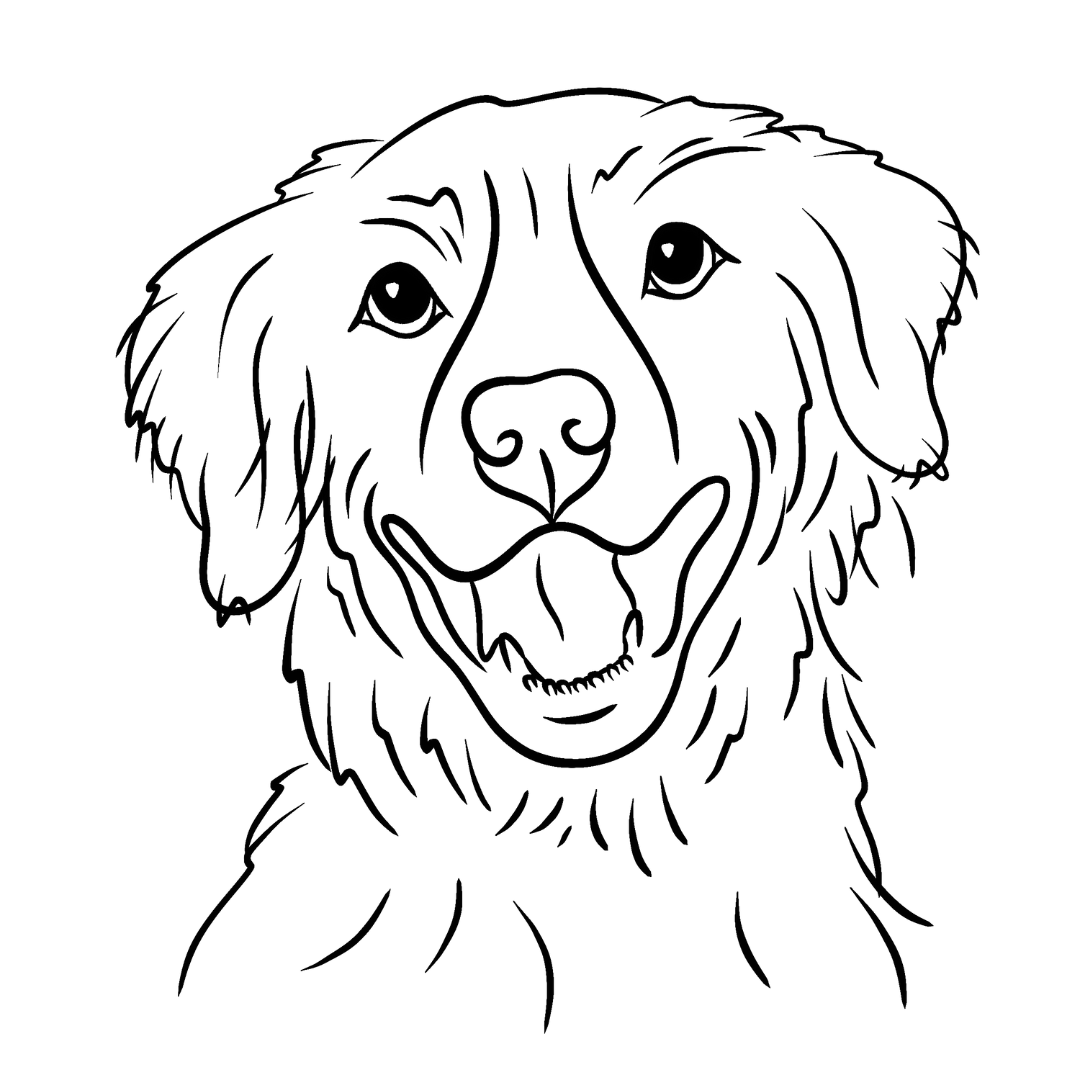 Pet Portrait - Line Sketches