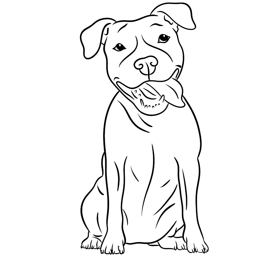 Pet Portrait - Line Sketches