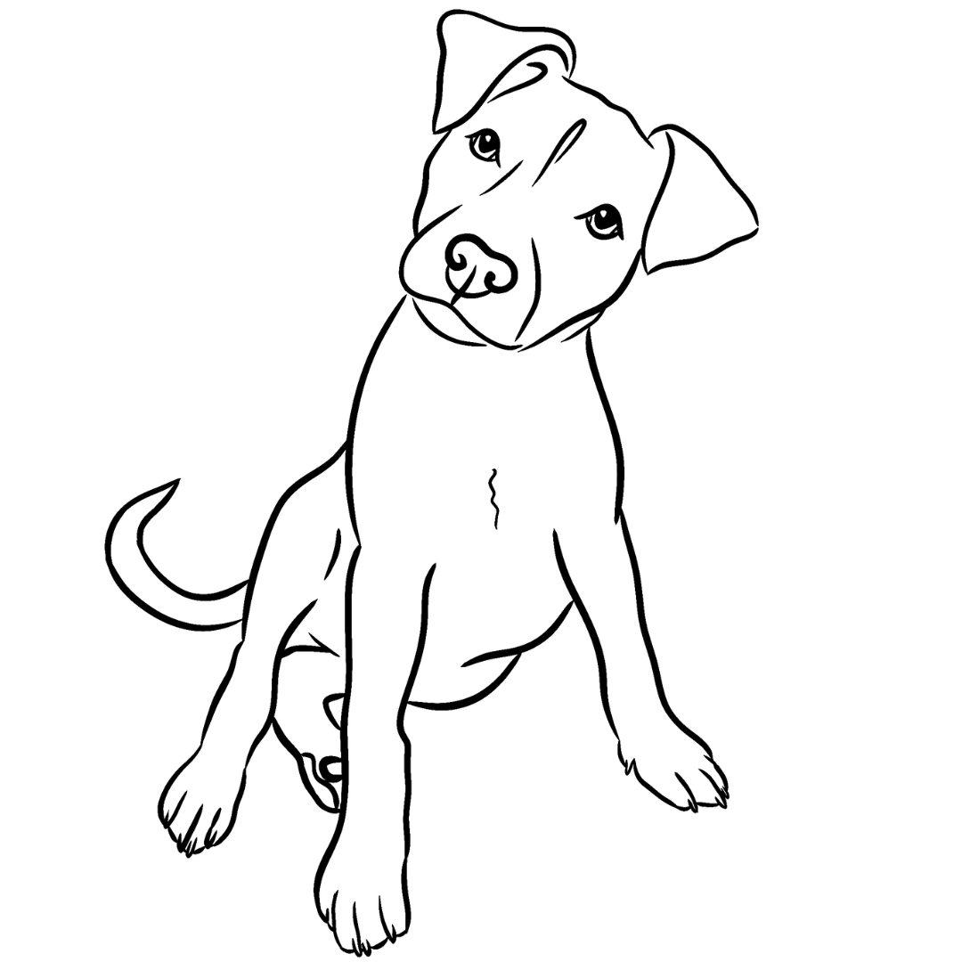 Pet Portrait - Line Sketches