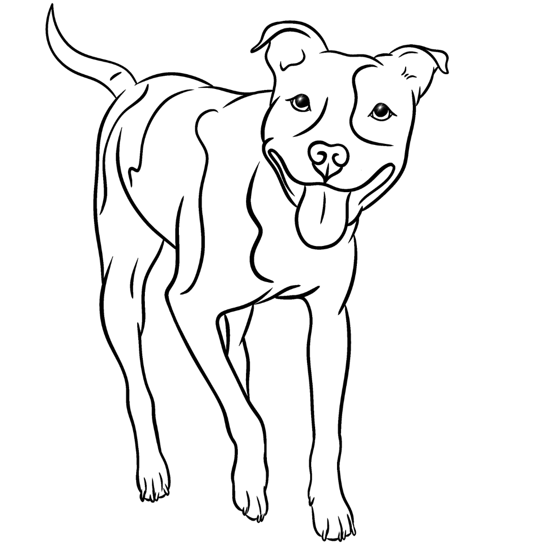 Pet Portrait - Line Sketches