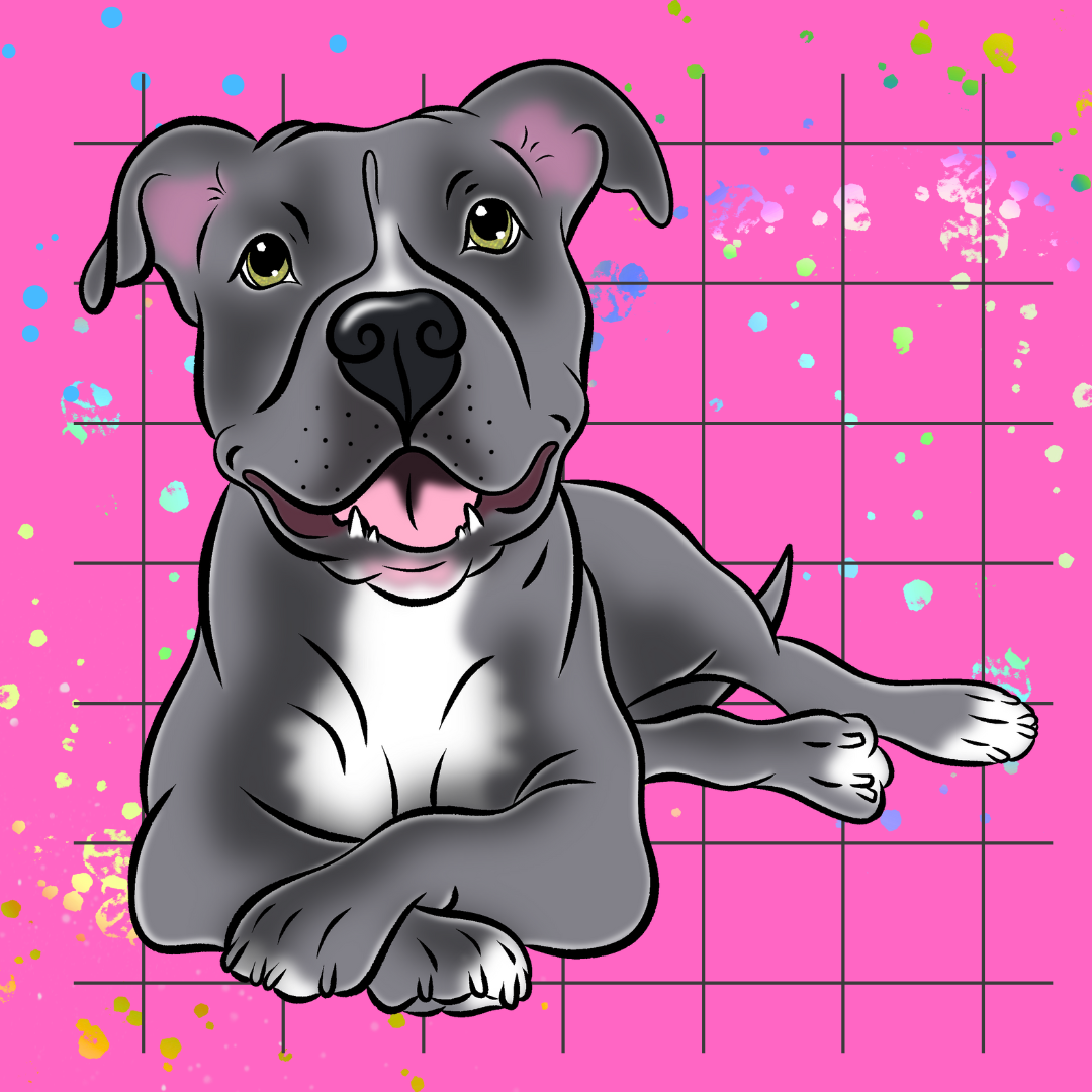 Head-to-Paw Hero Pet Portrait