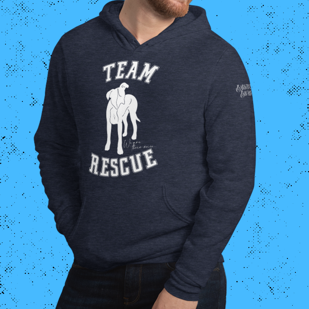 Team Rescue