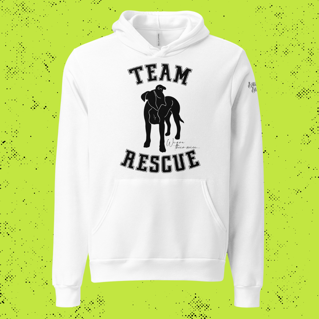 Team Rescue