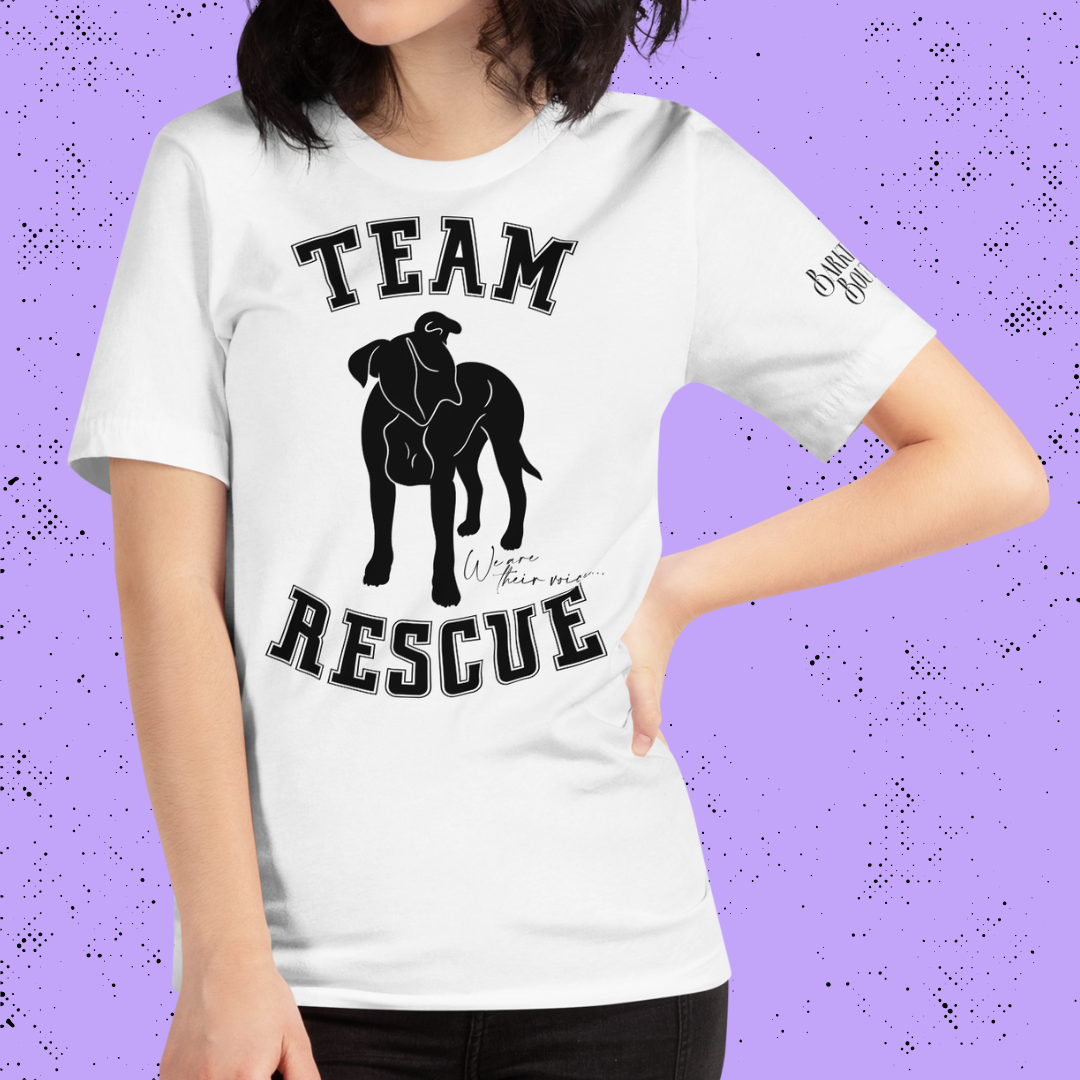 Team Rescue