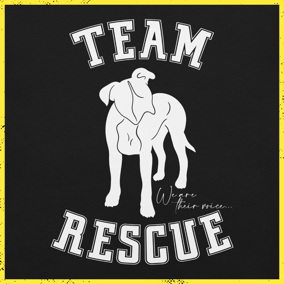 Team Rescue