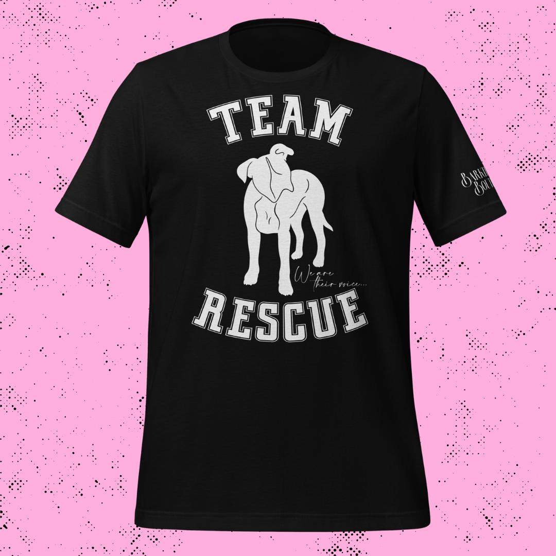 Team Rescue