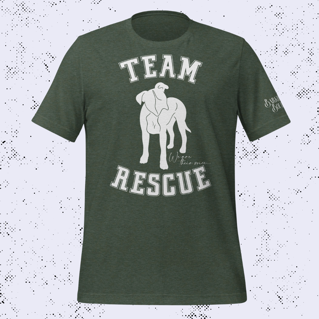 Team Rescue