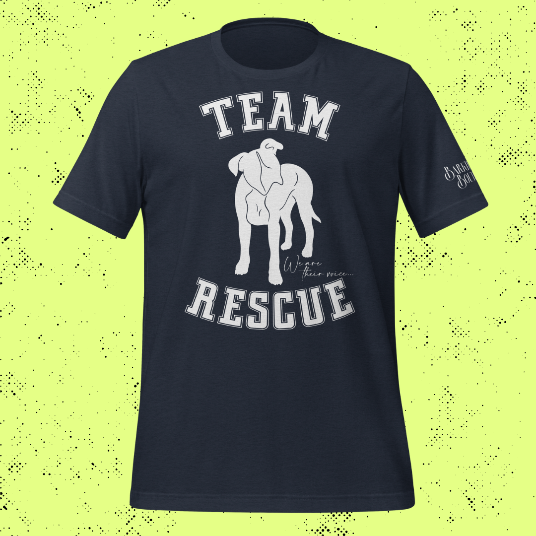 Team Rescue