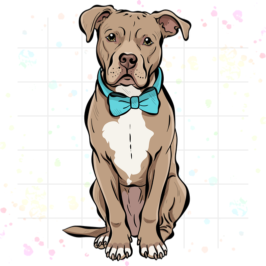 Head-to-Paw Portrait