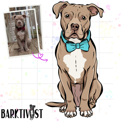 Head-to-Paw Portrait