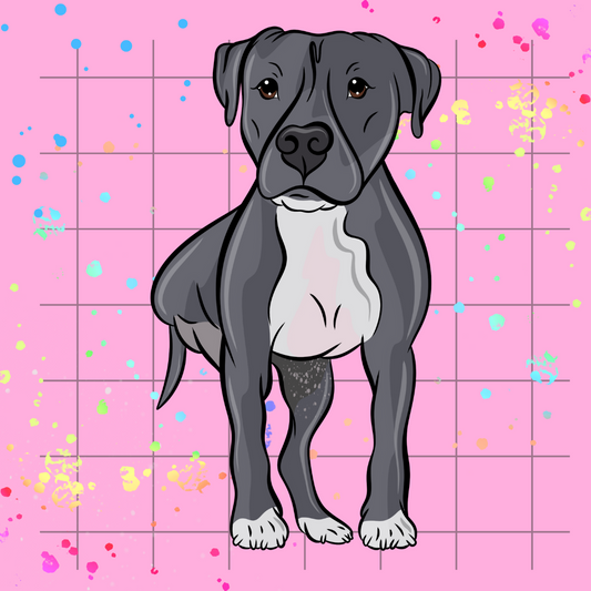 Head-to-Paw Hero Pet Portrait