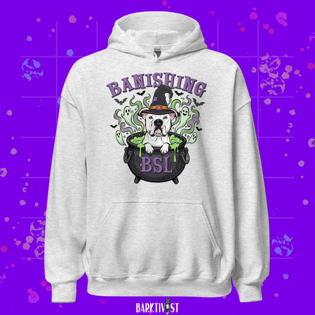 Banishing BSL Classic Hoodie