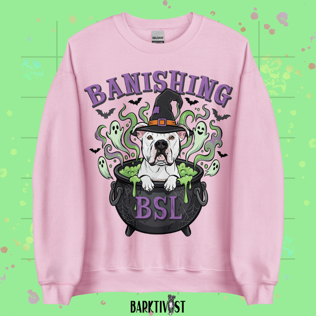 Banishing BSL Classic Sweatshirt