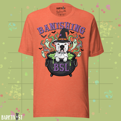 Banishing BSL Classic Tee