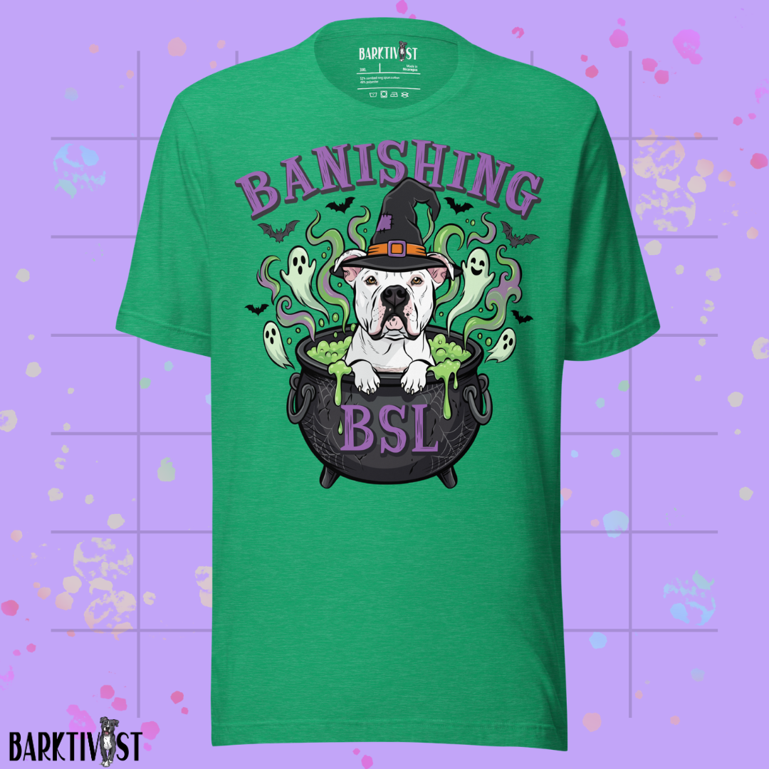 Banishing BSL Classic Tee