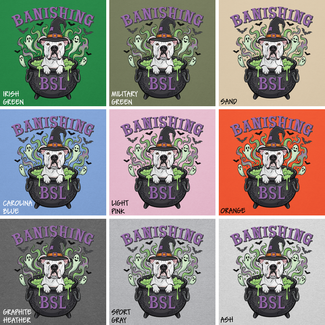 Banishing BSL Classic Hoodie