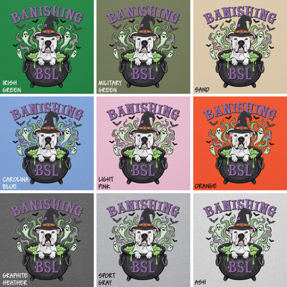 Banishing BSL Classic Hoodie