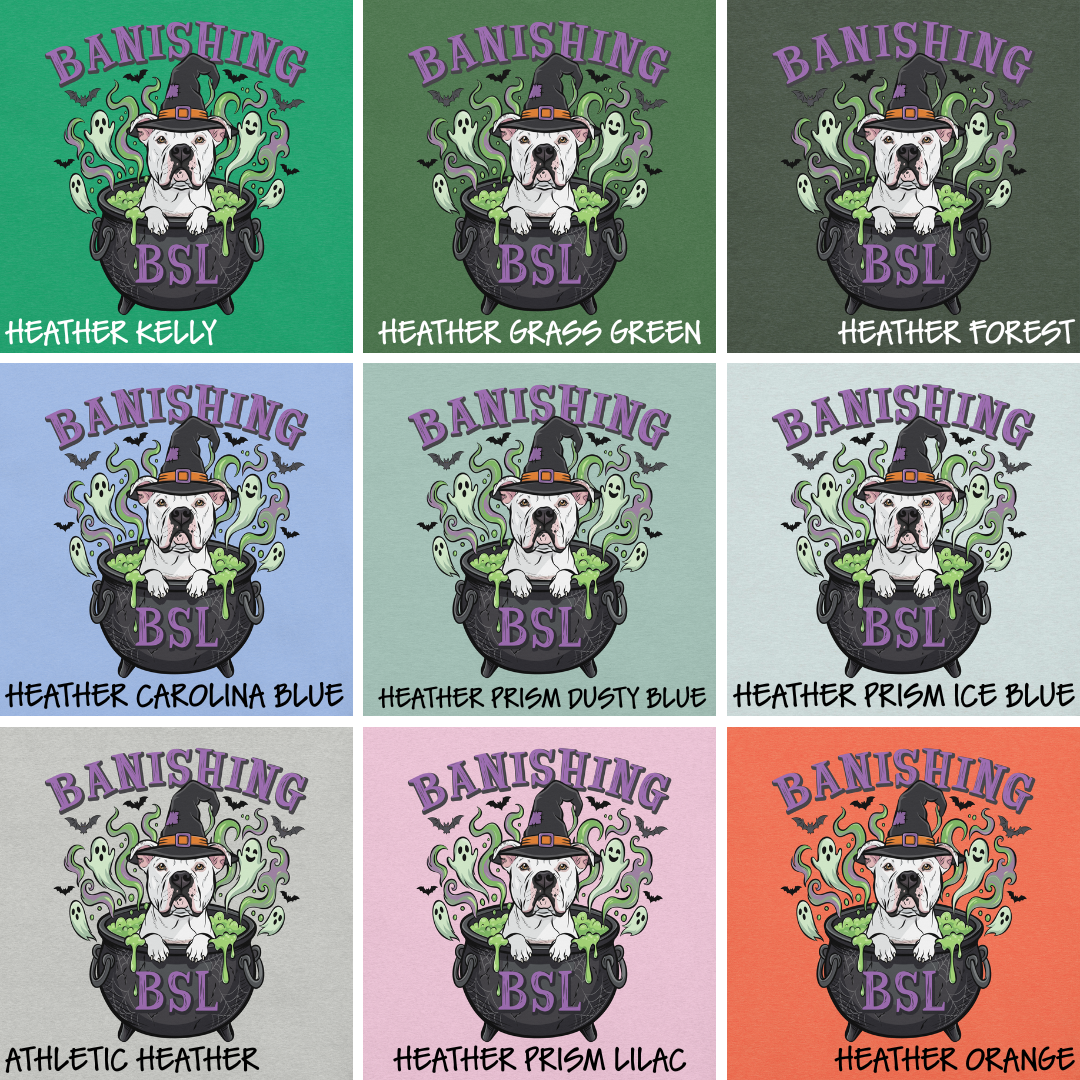Banishing BSL Classic Tee