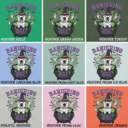 Banishing BSL Classic Tee
