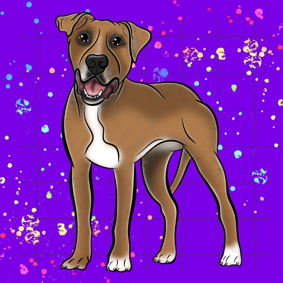 Head-to-Paw Hero Pet Portrait