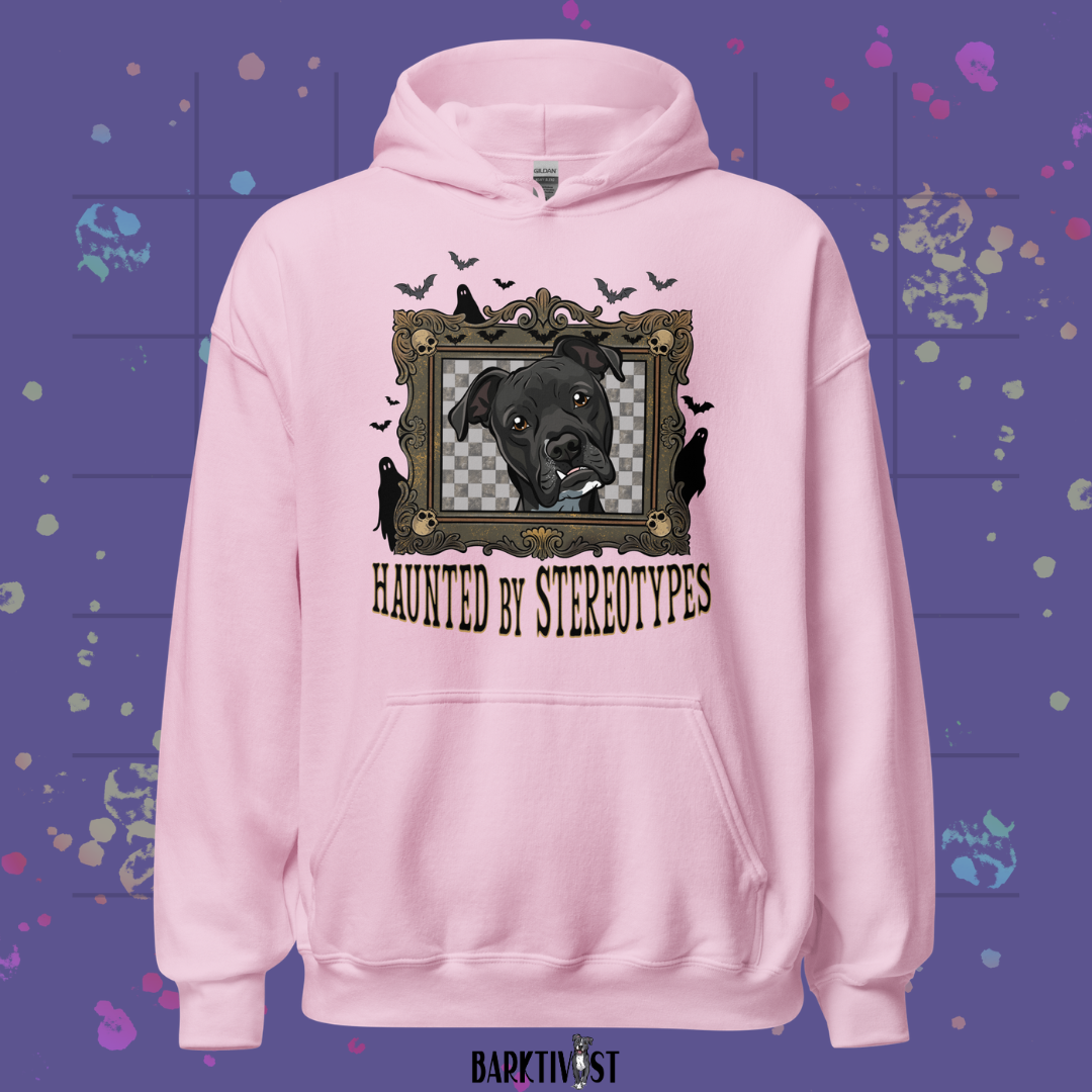 Haunted by Stereotypes Classic Hoodie