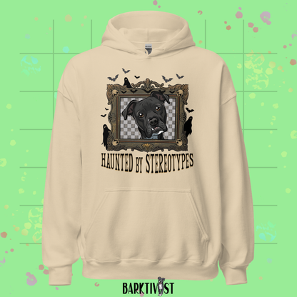 Haunted by Stereotypes Classic Hoodie