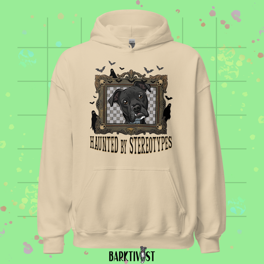 Haunted by Stereotypes Classic Hoodie
