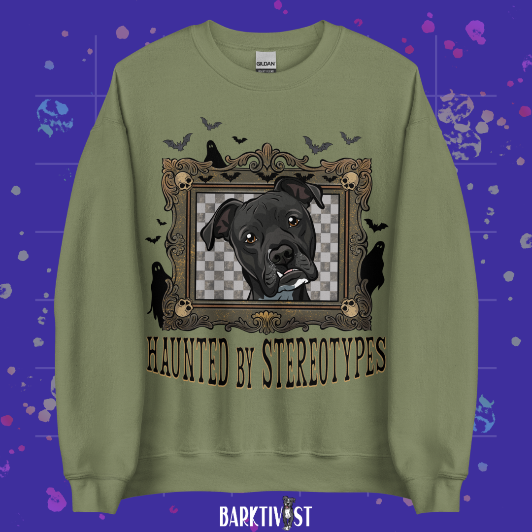 Haunted by Stereotypes Classic Sweatshirt