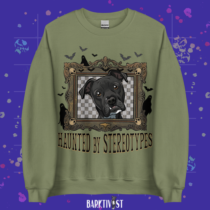 Haunted by Stereotypes Classic Sweatshirt