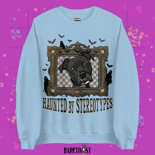 Haunted by Stereotypes Classic Sweatshirt
