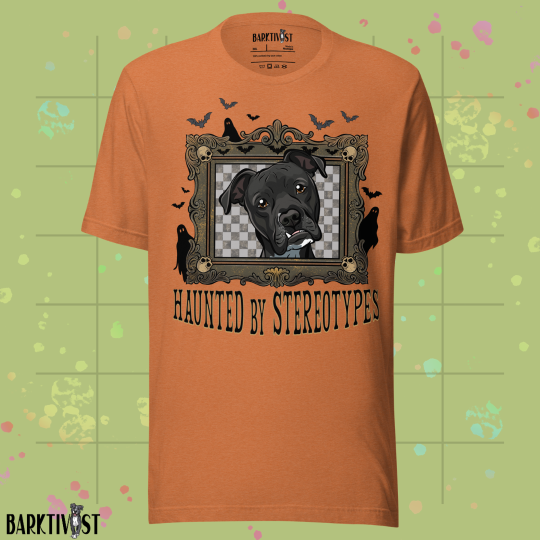 Haunted by Stereotypes Classic Tee