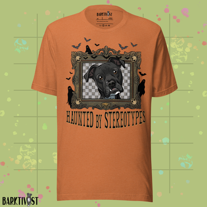 Haunted by Stereotypes Classic Tee