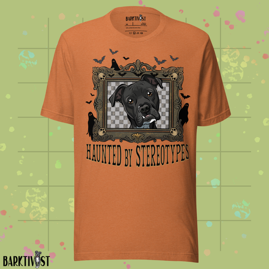 Haunted by Stereotypes Classic Tee