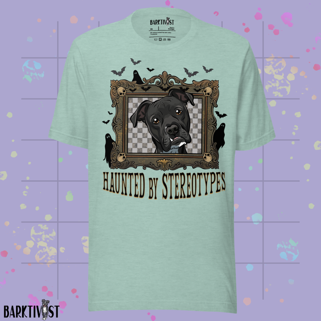 Haunted by Stereotypes Classic Tee