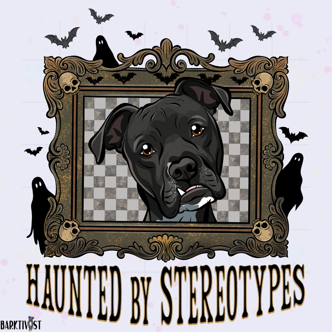 Haunted by Stereotypes Classic Tee