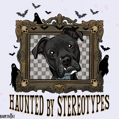 Haunted by Stereotypes Classic Tee