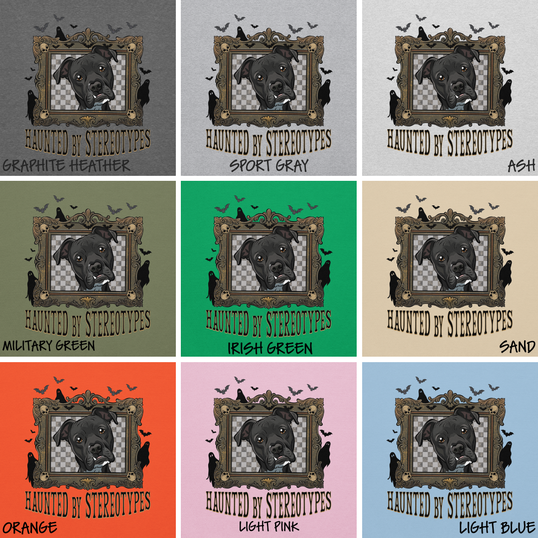 Haunted by Stereotypes Classic Hoodie