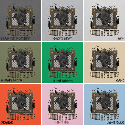 Haunted by Stereotypes Classic Hoodie