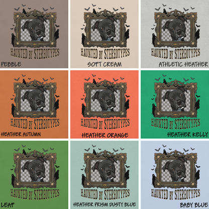 Haunted by Stereotypes Classic Tee