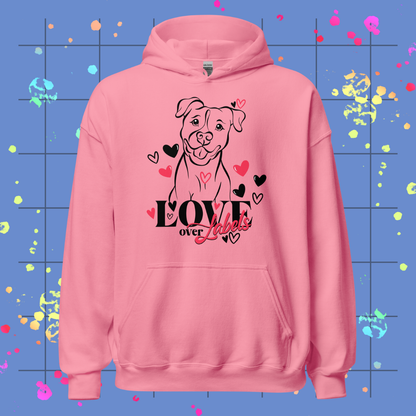 Love Over Labels Unisex Hoodie