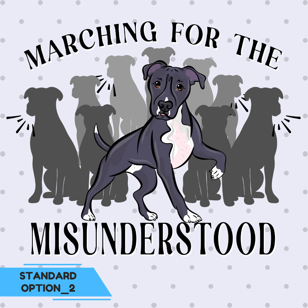 Marching for the Misunderstood Unisex Hoodie