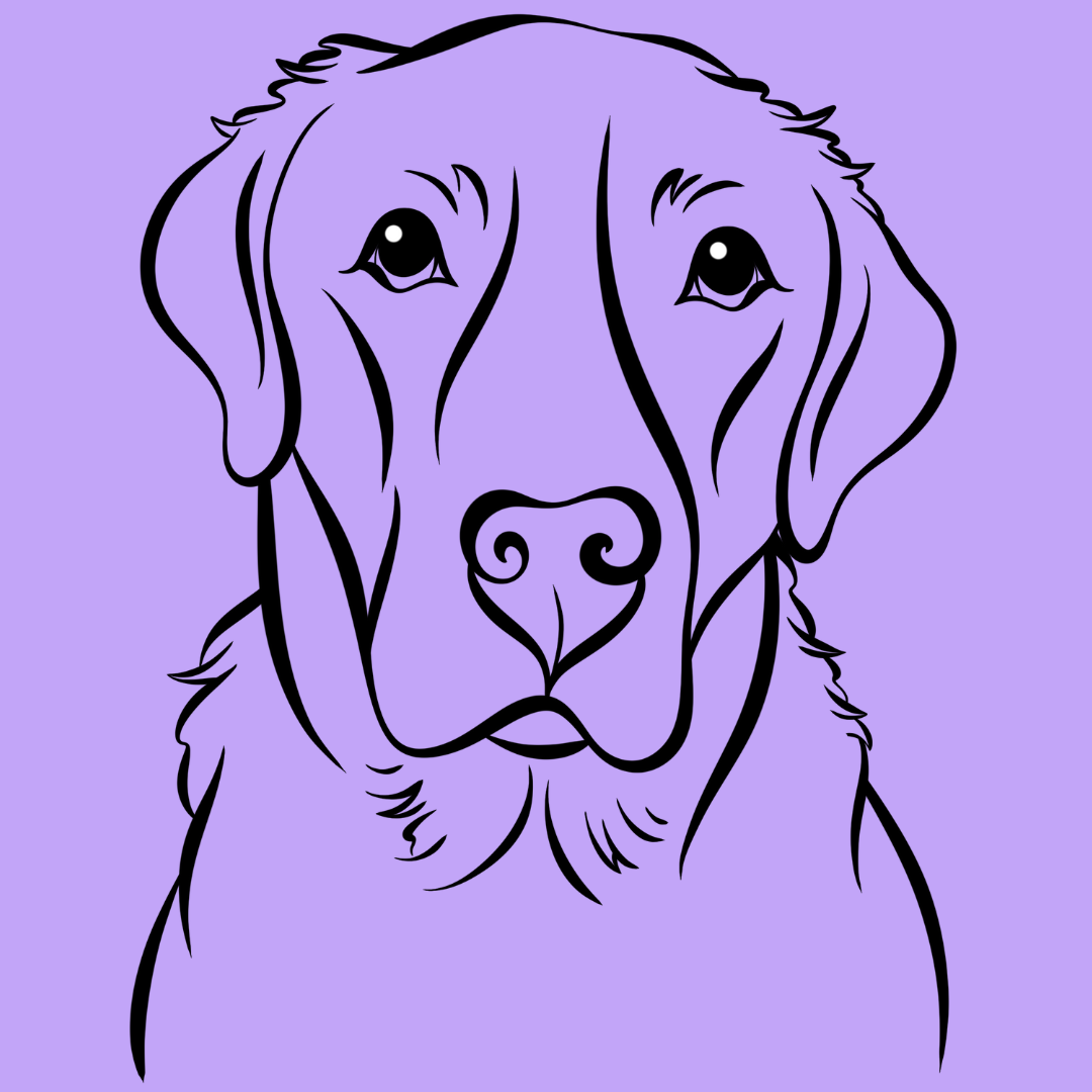 TAILored Lines Portrait