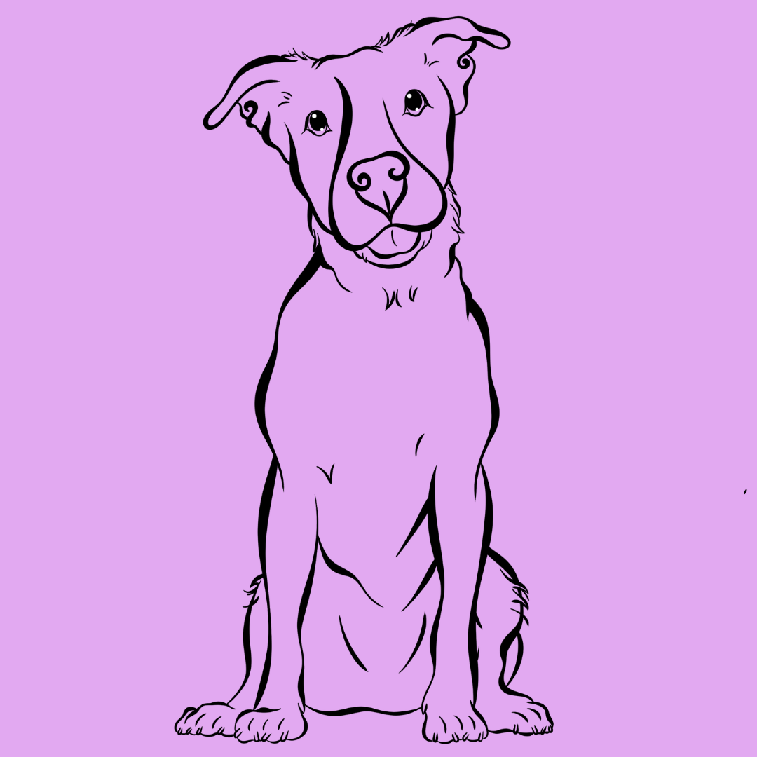 TAILored Lines Portrait